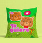 Cojín 13